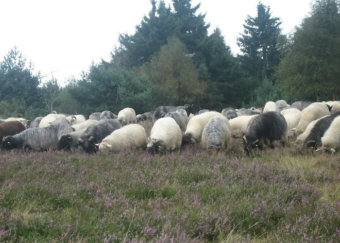 Apartman Inge Steinruecken Winterberg